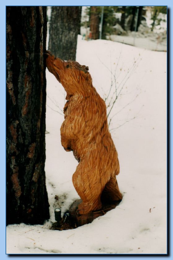 2-34 bear leaning on tree